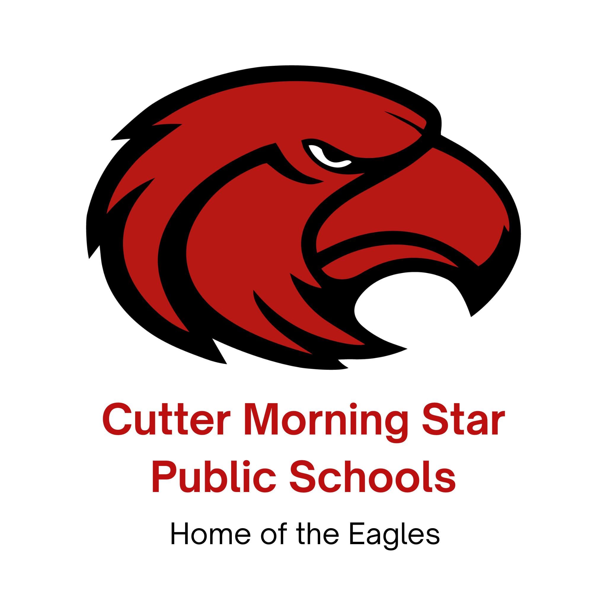 Cutter Morning Star Public Schools logo